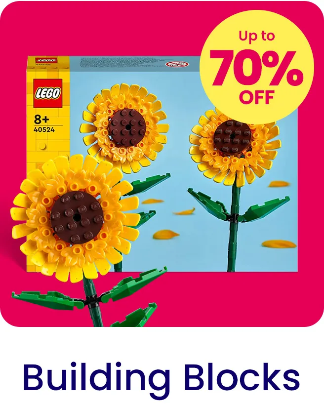 2-LP-TOYS-SCROLLER-BLOCKS-EN.jpg