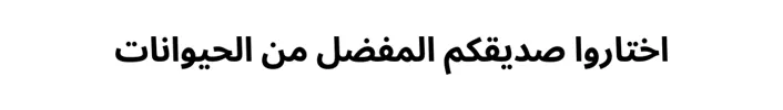 BANNER_2135x191_CHOOSE_AR.png