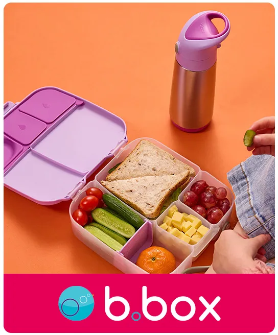 HP_Baby_LunchboxesLunchtime_Brand_B.box.jpg
