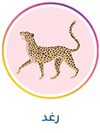 DESKTOP-RAGHAD-AR_AUG152024.jpg