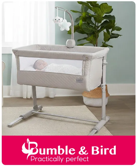 bumblebird.jpg